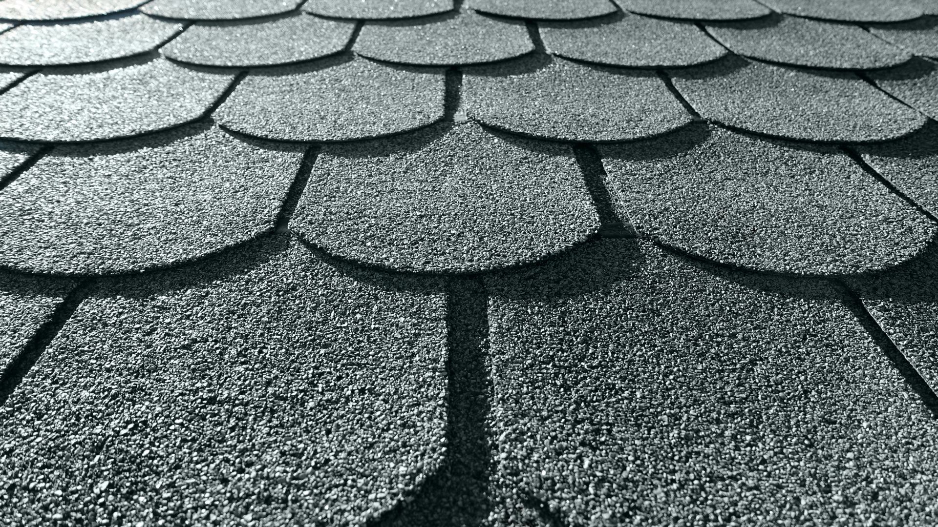 4 Reasons You May Need a New Roof
