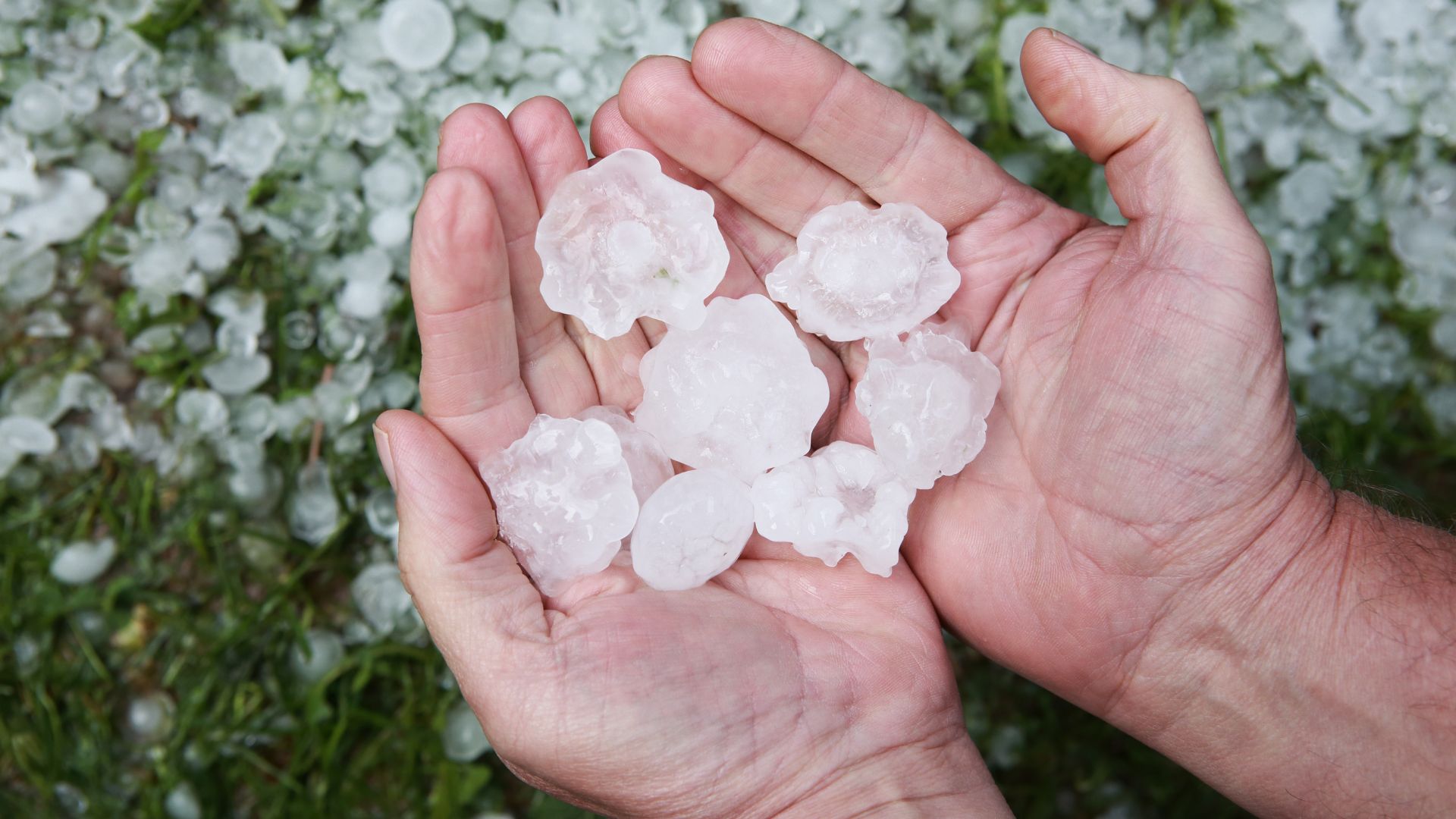 Does Your Insurance Cover Hail Damage?